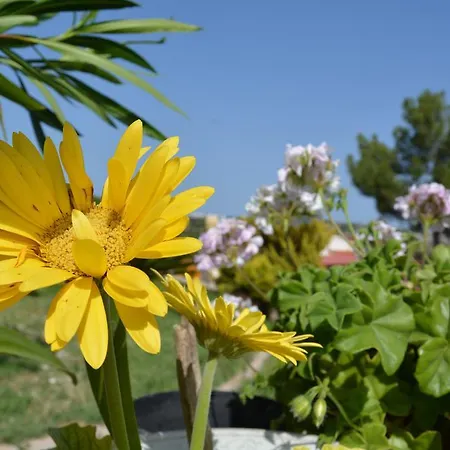 Holiday home Ambrosia House Tsairi