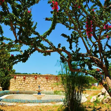 Ambrosia House Hébergement de vacances *